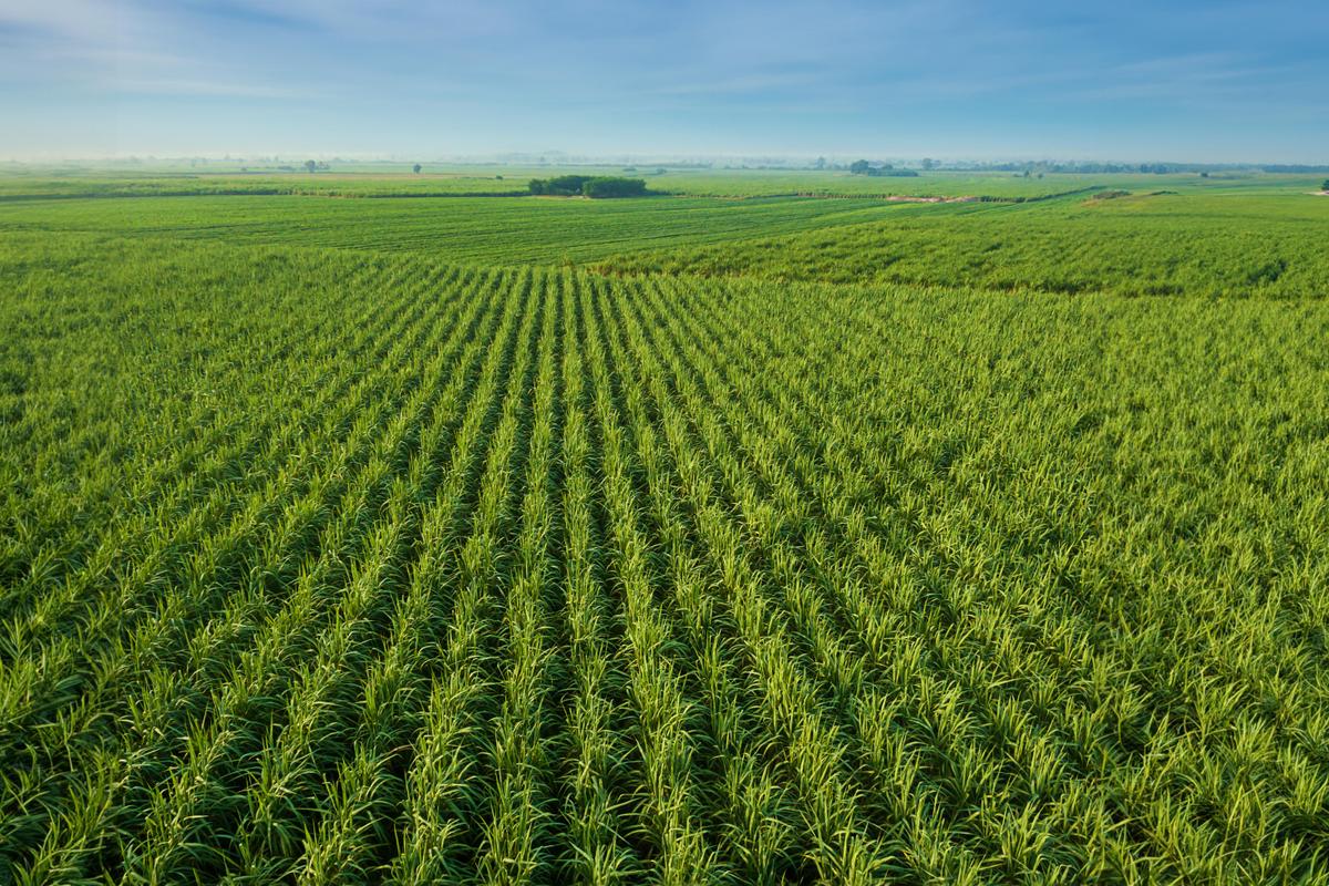 Sustainability at CREMER