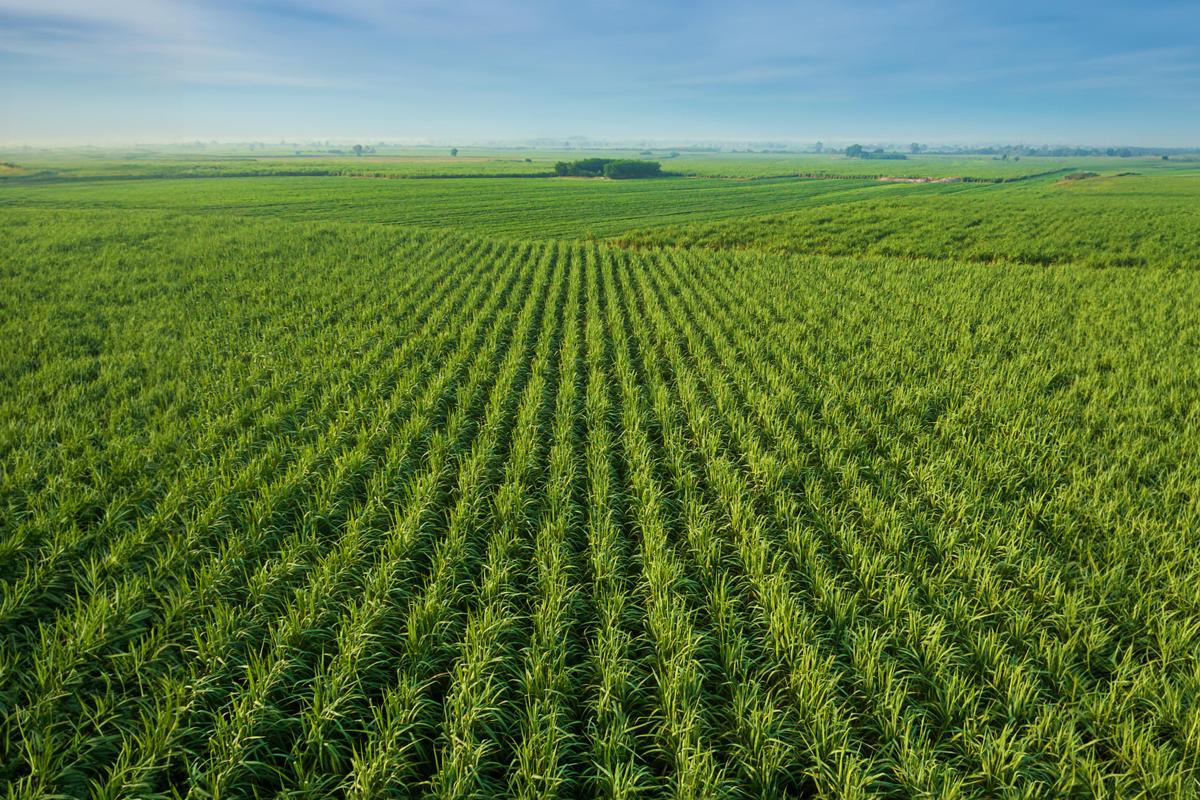 Nachhaltigkeit bei CREMER